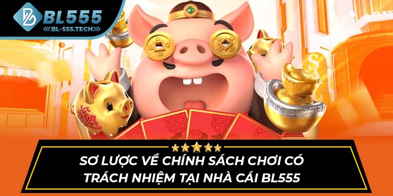 Sơ lược về chính sách chơi có trách nhiệm tại nhà cái BL555