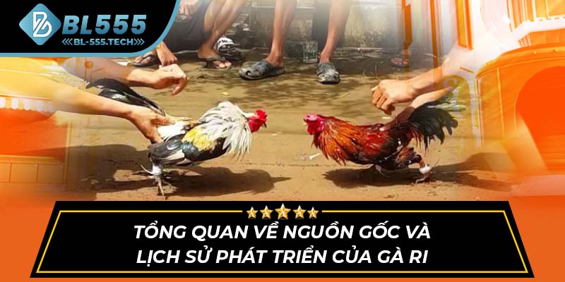 Tổng quan về nguồn gốc và lịch sử phát triển của gà ri